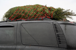 christmas tree pickup