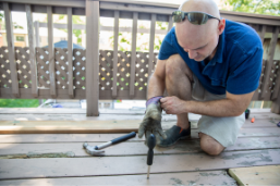 deck repair