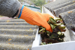 gutter cleaning