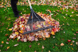 raking leaves