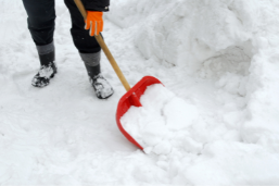 shovel snow